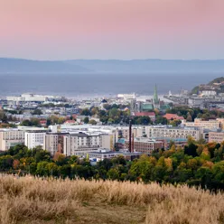 En by med trær og vann i bakgrunnen