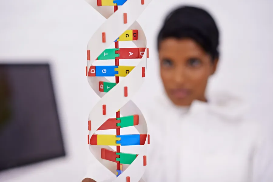 En person som holder en boks med godteri