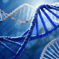 Et nærbilde av et blått sjødyr