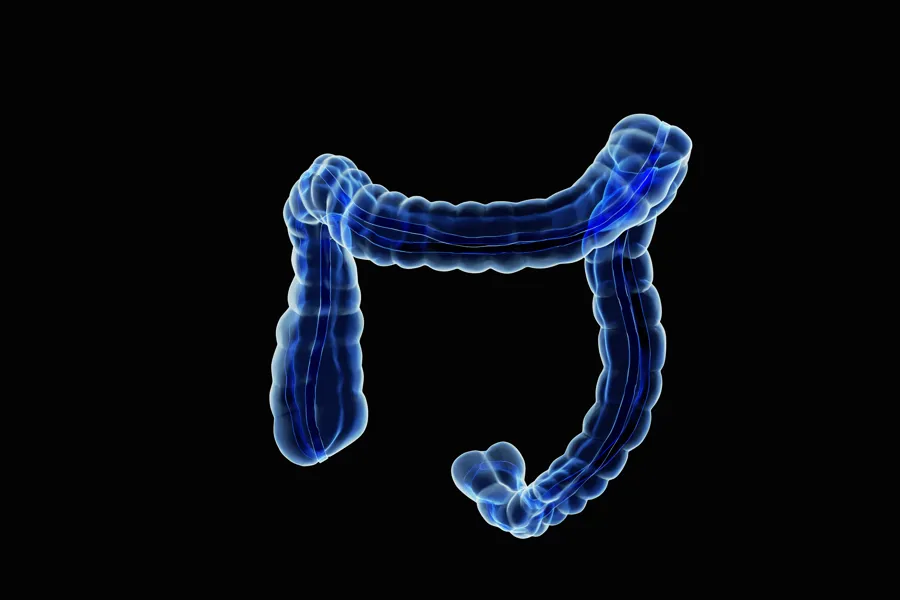 Foto: Illustrasjonsfoto