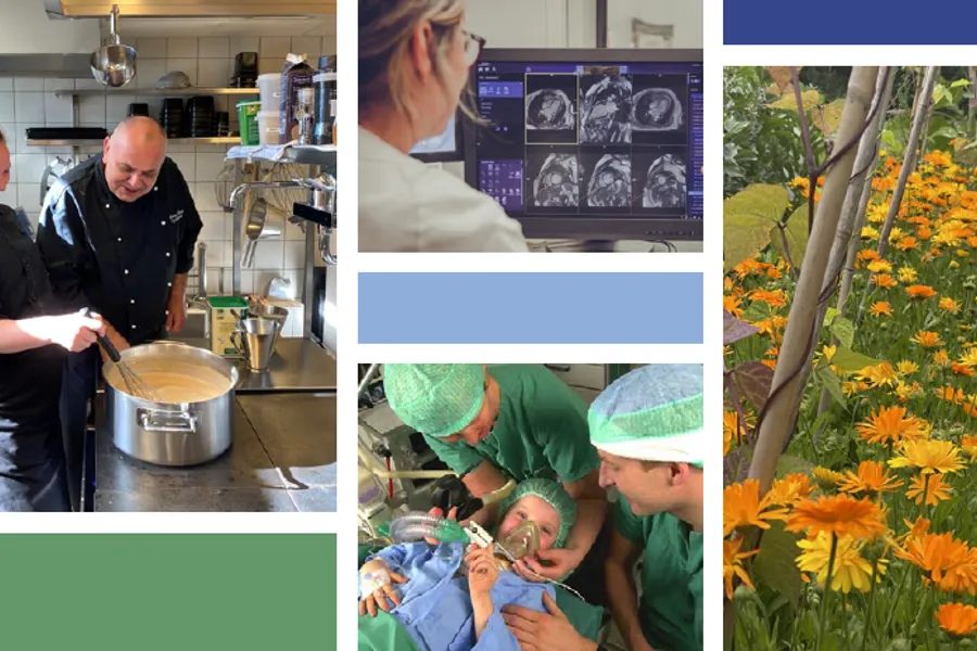 En collage av mennesker som lager mat