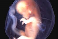 En planet med svart bakgrunn